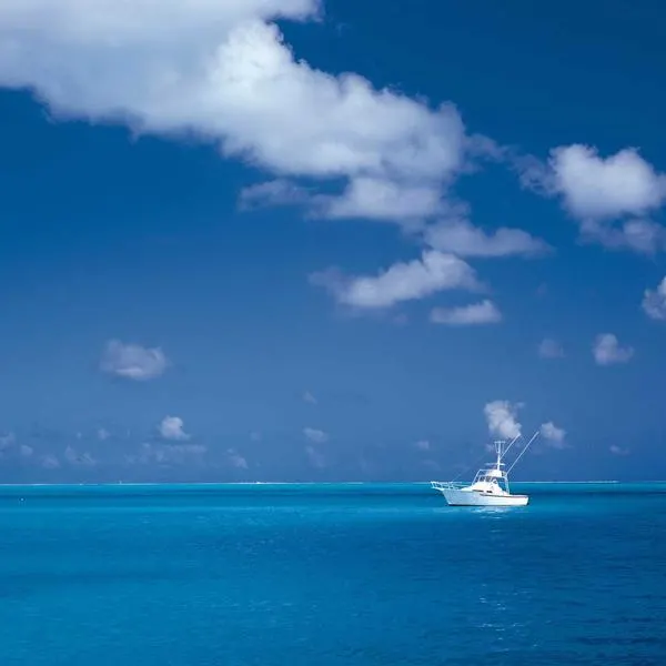 Moments de  voyage 